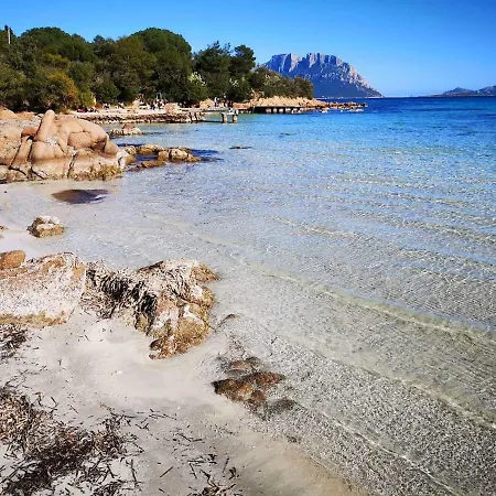 The White Sheep - Porto Istana